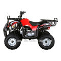 FA-D110 110CC QUAD NIÑOS MINI ATV CON EL CE/EPA AUTOMÁTICO